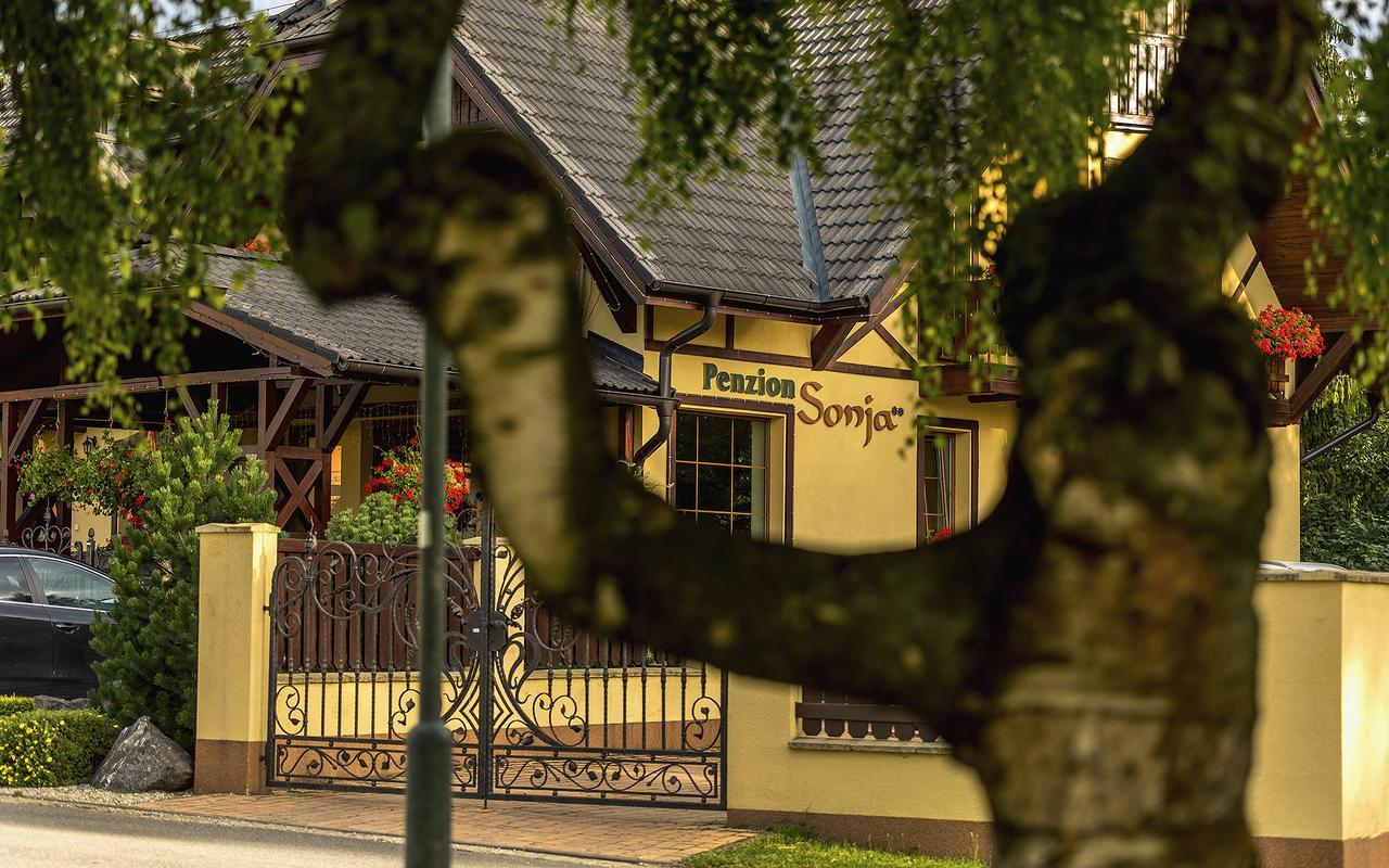Penzion Sonja Vyšné Ružbachy Exterior foto