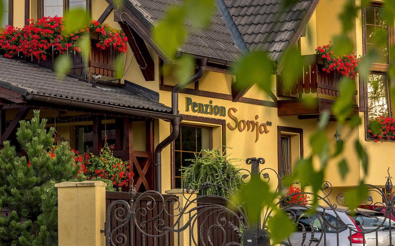 Penzion Sonja Vyšné Ružbachy Exterior foto